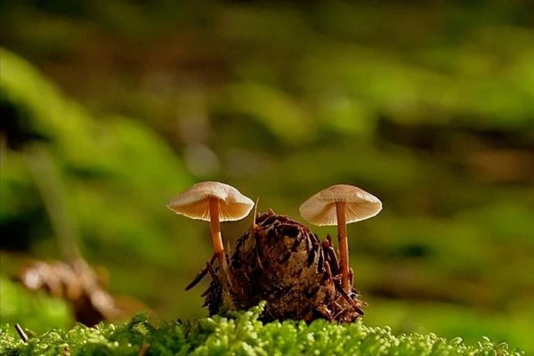 大财配资 饭局上这三种人，千万不能深交！