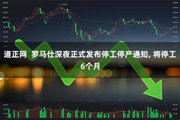 道正网  罗马仕深夜正式发布停工停产通知, 将停工6个月